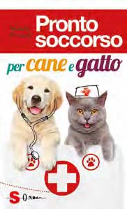 PRONTO SOCCORSO CANE GATTO SCAFFALE MARZO 2017