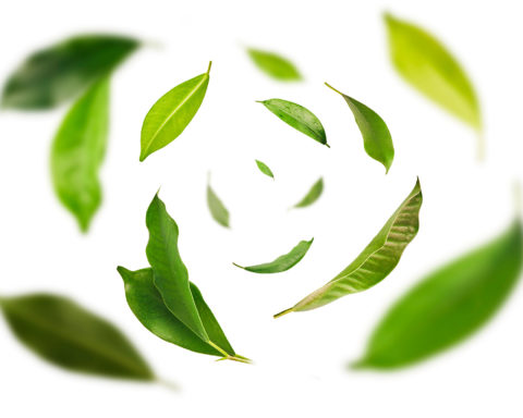 VMC-ARIA-ECO-CASE