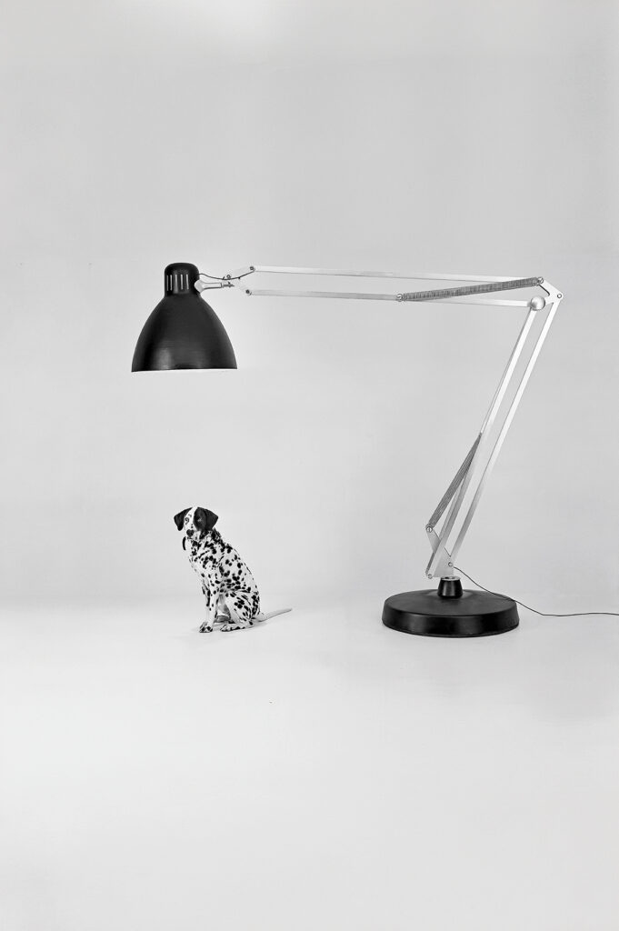 mostra-balloballo