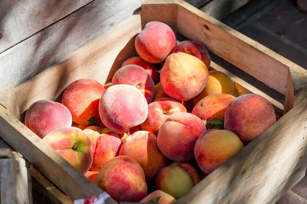 alimentazione-settembre