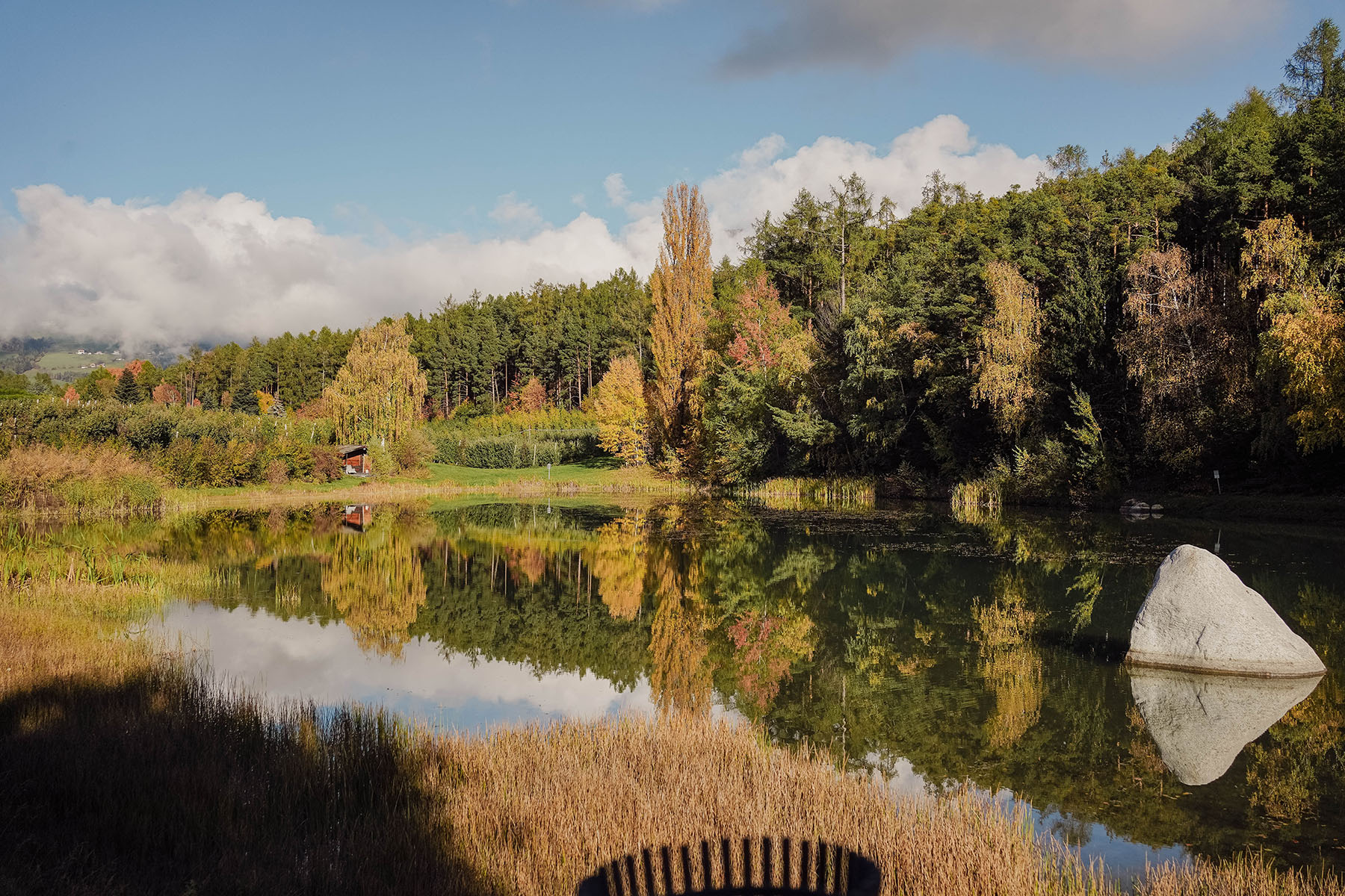 sapori-dautunno-al-seehof-nature-retreat