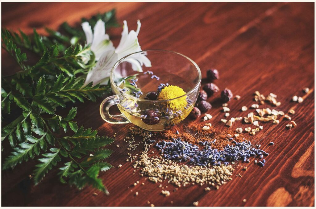alimentazione-dic