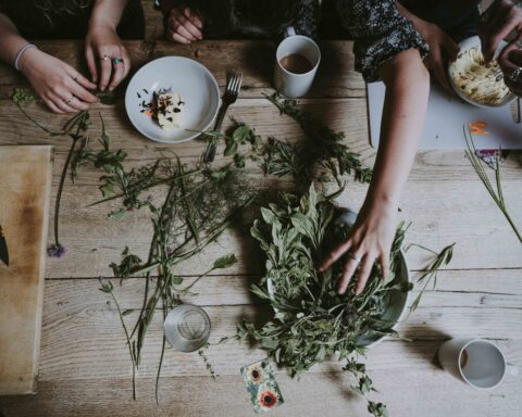 alimentazione-dic
