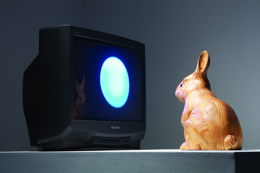 rabbit-torino-art-gennaio
