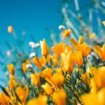 alimentazione-aprile25