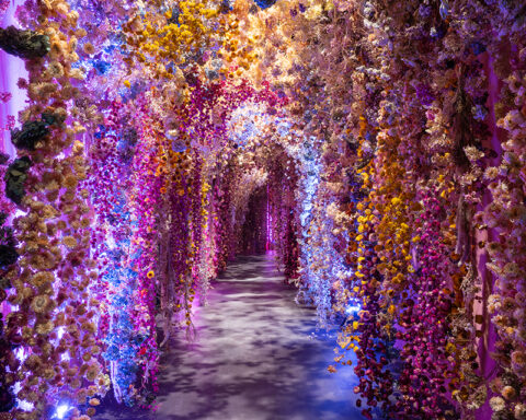 flowers-roma-052025