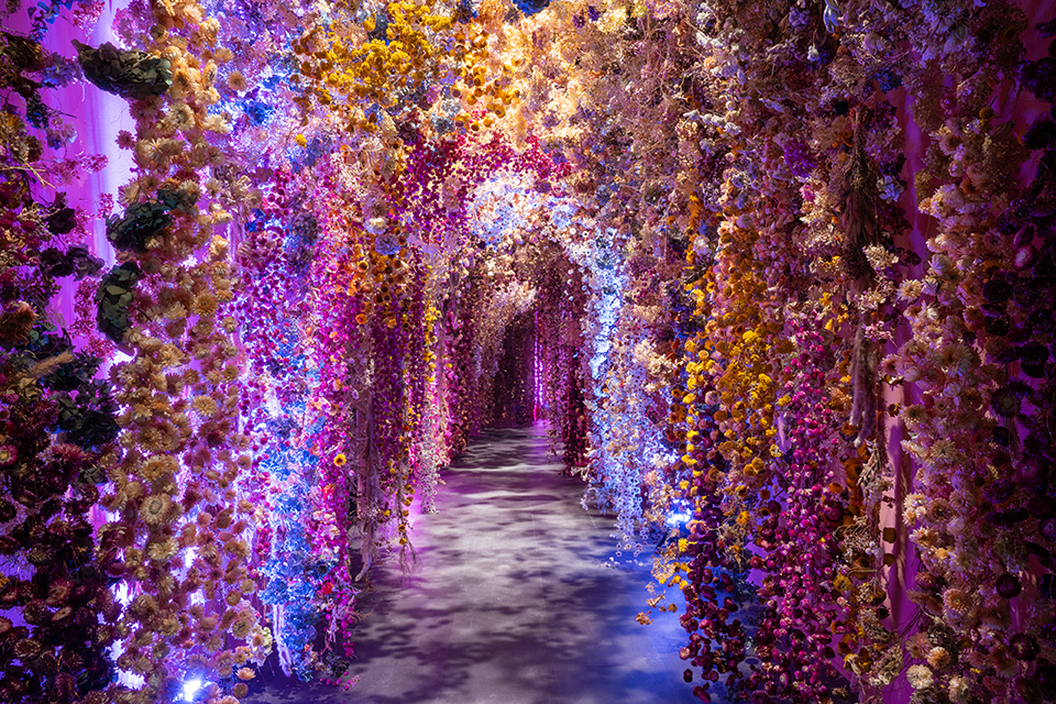 flowers-roma-052025