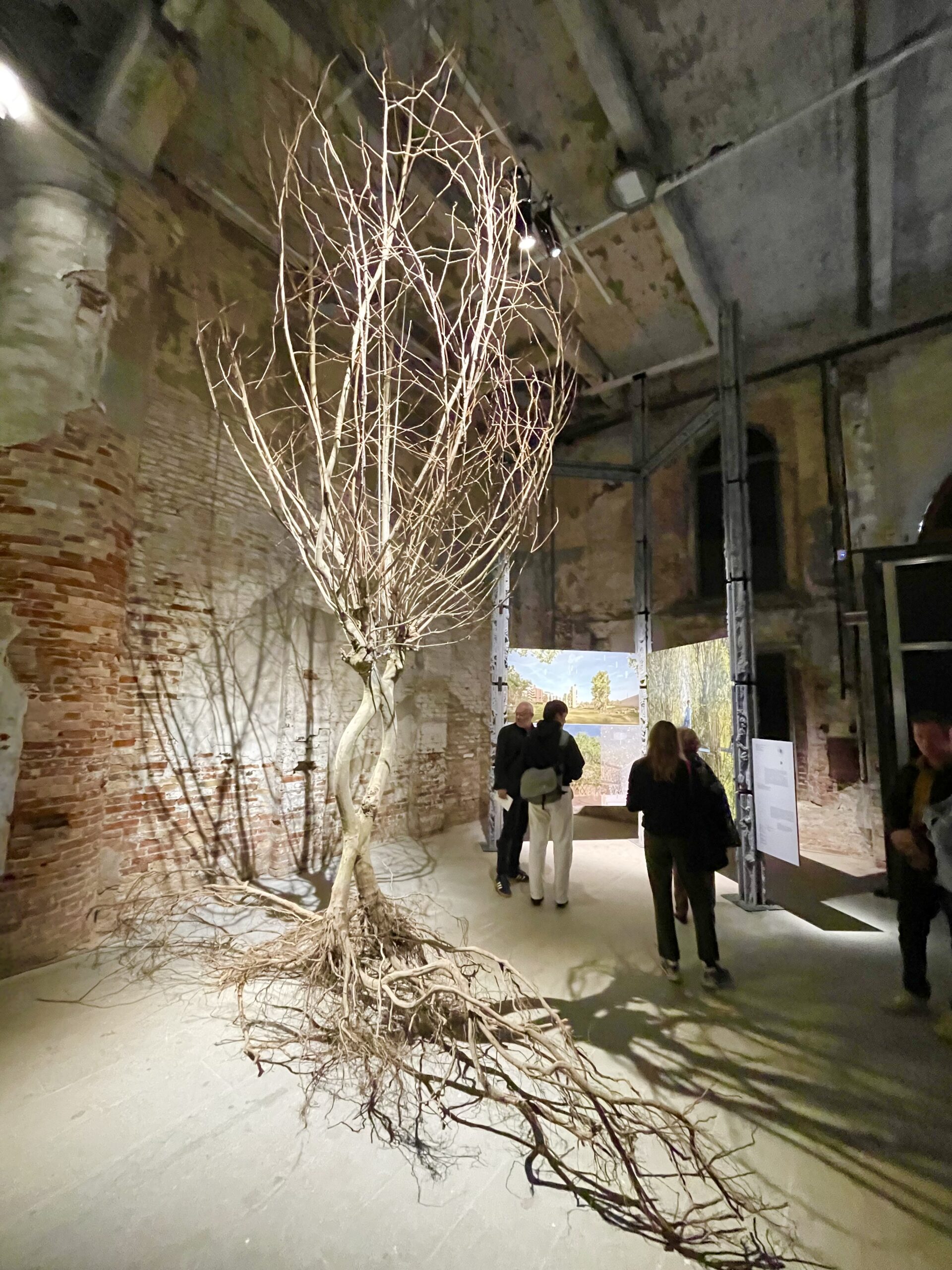 19-mostra-internazionale-di-venezia