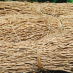 gli-isolamenti-di-origine-vegetale-fibra-di-kenaf