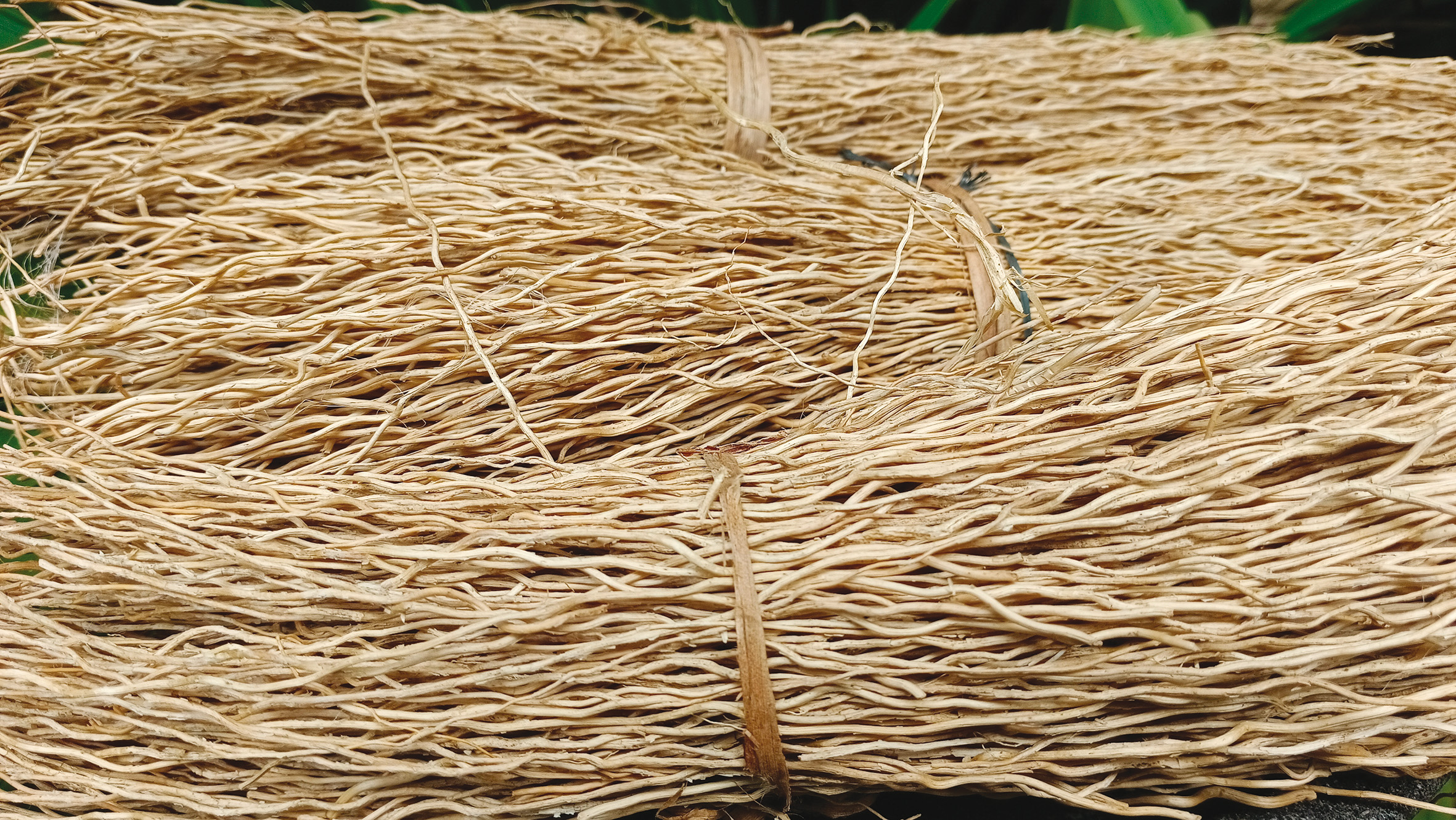 gli-isolamenti-di-origine-vegetale-fibra-di-kenaf