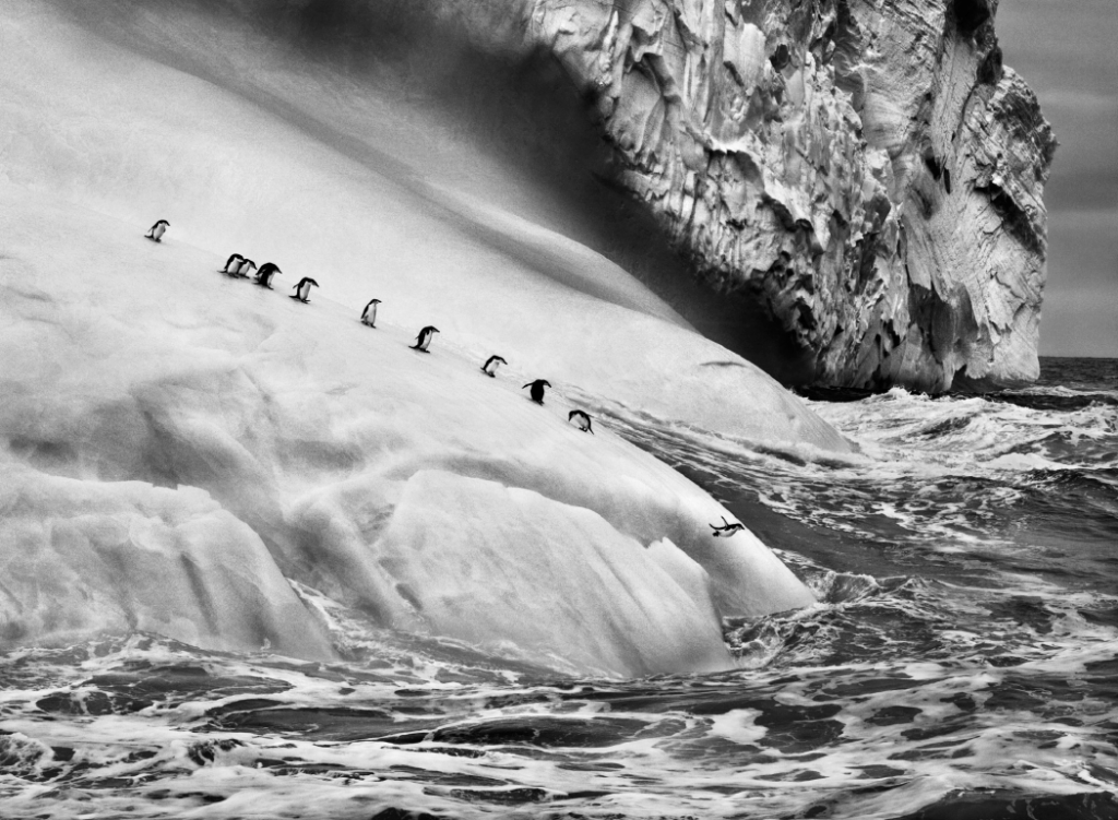 sebastiao-salgado-ghiacciai