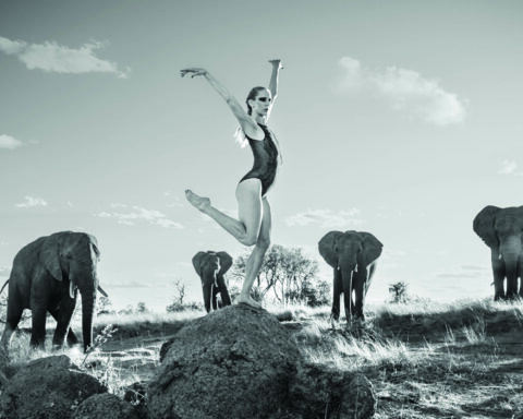 dancing-with-nature-ruggero-rosfer