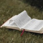 lo-scaffale-di-novembre-25