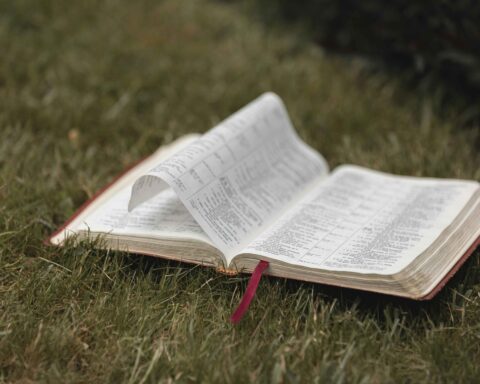 lo-scaffale-di-novembre-25