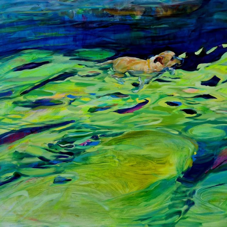 malacarne-la-forma-nascosta-dellacqua